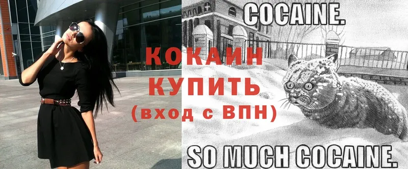 Cocaine Fish Scale  купить  сайты  Ноябрьск 